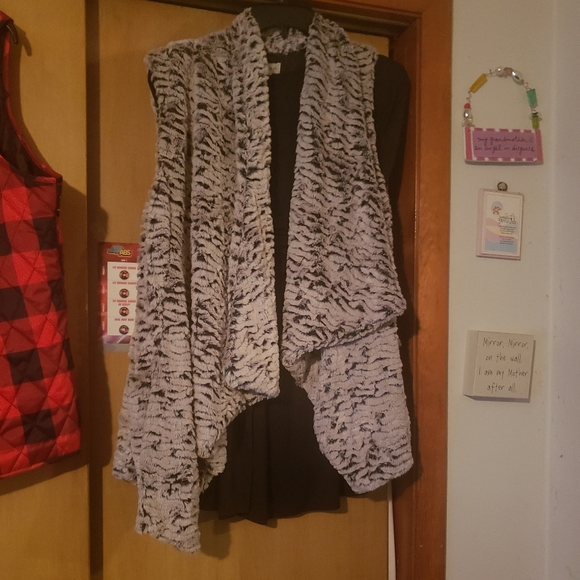 Vest - Picture 2 of 2